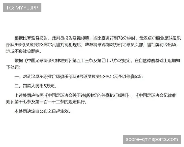 无效进球的判罚规则及常见误区解析